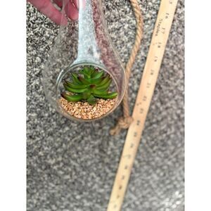 Glass teardrop terrarium with faux succulent